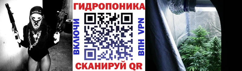 где можно купить наркотик hydra Шишки марихуана THC 21% Новая Ляля
